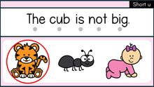 Load image into Gallery viewer, Blending Slides: Decodable Words and Sentences