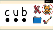 Load image into Gallery viewer, Blending Slides: Decodable Words and Sentences