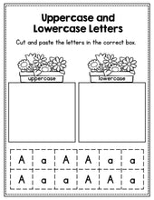 Load image into Gallery viewer, Buy3Get1 FREE B4 - Alphabet, Math and Literacy, Sight Words, Numbers 0-20