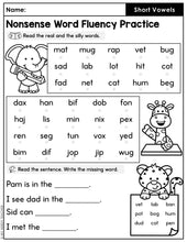 Load image into Gallery viewer, Real and Nonsense Word Fluency Practice