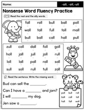 Load image into Gallery viewer, Real and Nonsense Word Fluency Practice