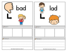 Load image into Gallery viewer, Phoneme Substitution Task Cards - Science of Reading Games