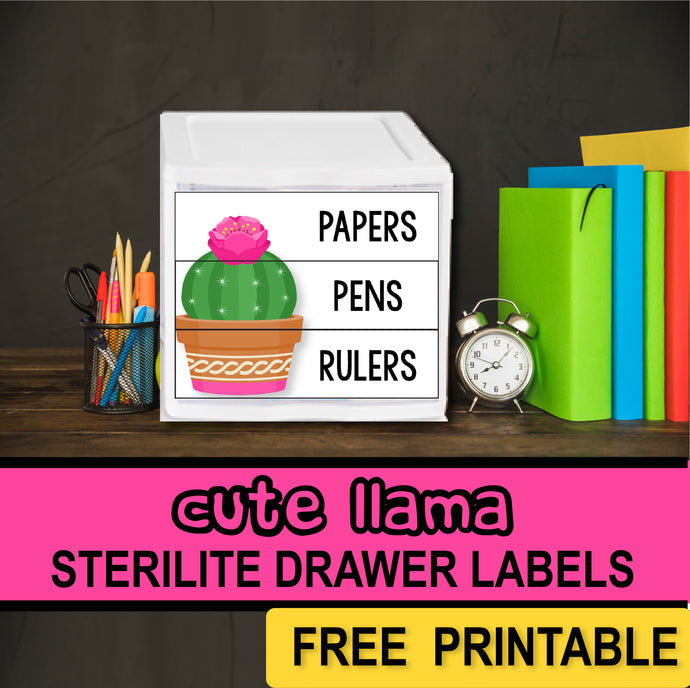 Llama Classroom Decor - Editable FREE Sterilite Drawer Labels