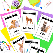 Load image into Gallery viewer, Buy3Get1 FREE B6 - Nonfiction Decodable Passages, Writing Activities, Realistic Passages, Decodable Strips