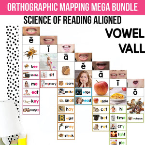 Orthographic Mapping Mega Bundle just $19 ($200 VALUE) - Science of Reading Aligned