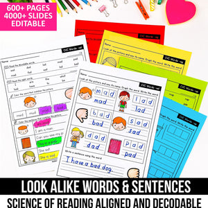 Buy3Get1 FREE B14 - Decodable Readers, Seasonal Passages, Buddy Decodables, Look Alike Words