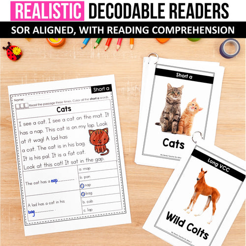 Realistic Reading Comprehension Decodable Passages MEGA BUNDLE - SOR Aligned - K-2nd Grade
