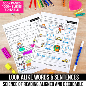 Buy3Get1 FREE B14 - Decodable Readers, Seasonal Passages, Buddy Decodables, Look Alike Words