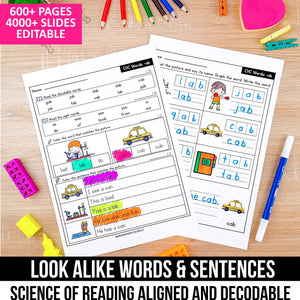 Buy3Get1 FREE B14 - Decodable Readers, Seasonal Passages, Buddy Decodables, Look Alike Words