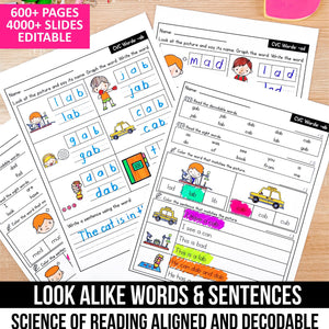 Buy3Get1 FREE B14 - Decodable Readers, Seasonal Passages, Buddy Decodables, Look Alike Words