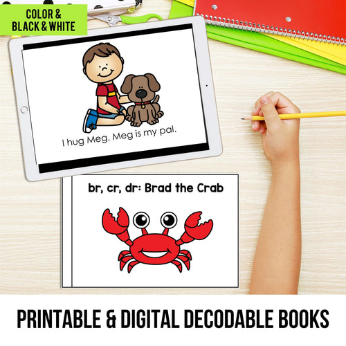 Printable Decodable Books and Puzzles MEGA BUNDLE - Science of Reading Aligned