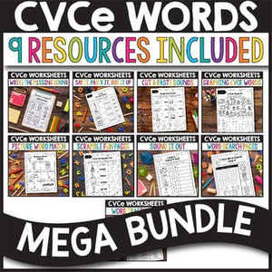 CVCe Words Worksheets BUNDLE